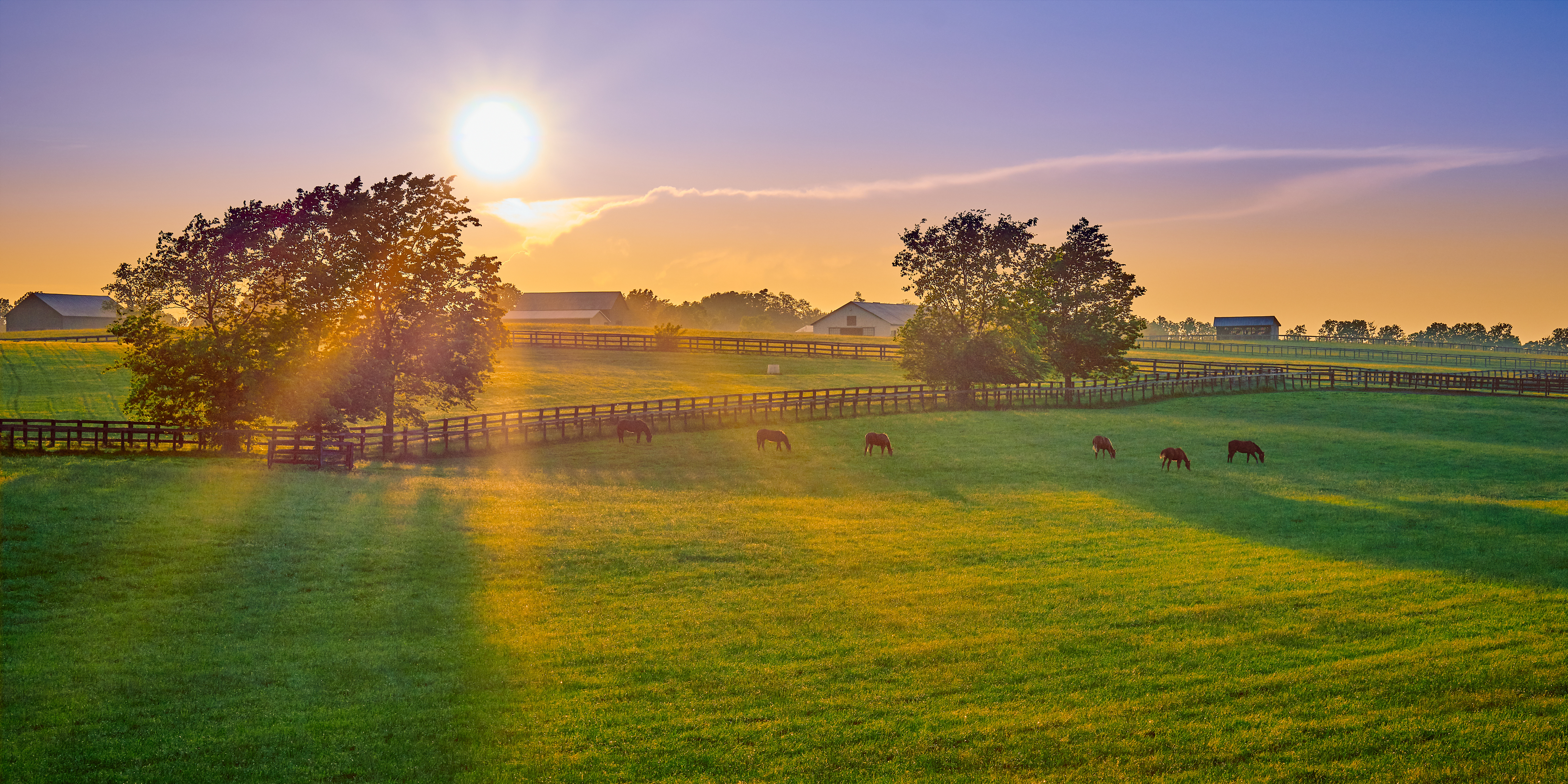 Kentucky thoroughbred farm